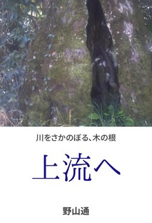 上流へ