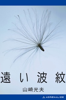 遠い波紋