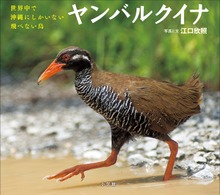 ヤンバルクイナ ～世界中で沖縄にしかいない飛べない鳥～（小学館の図鑑NEOの科学絵本）
