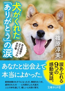 犬がくれた「ありがとう」の涙 ある保護犬ボランティアの手記