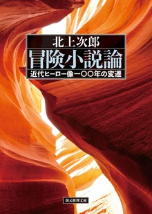 冒険小説論 近代ヒーロー像一〇〇年の変遷