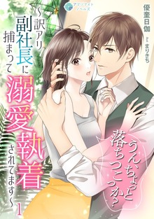 うん、ちょっと落ちつこっか？～訳アリ副社長に捕まって溺愛執着されてます～（アマゾナイトノベルズ）