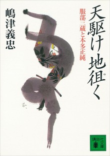 天駆け地徂く 服部三蔵と本多正純