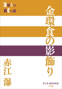P+D BOOKS 金環食の影飾り