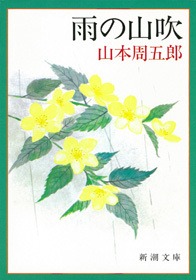 雨の山吹