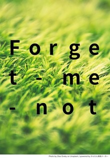 forget-me-not