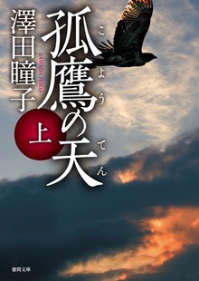 孤鷹の天