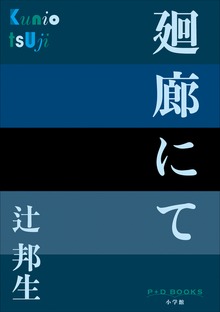 P+D BOOKS 廻廊にて