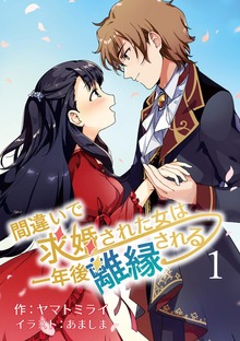 間違いで求婚された女は一年後離縁される（アマゾナイトノベルズ）