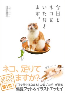 今日もネコをいただきます。