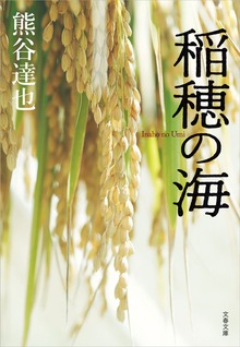 稲穂の海