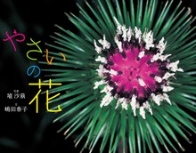 やさいの花