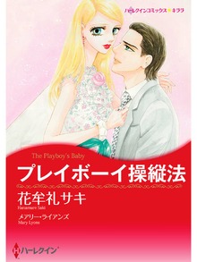 プレイボーイ操縦法