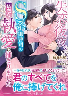 失恋後夜、Ｓ系御曹司の猛烈な執愛に捕まりました