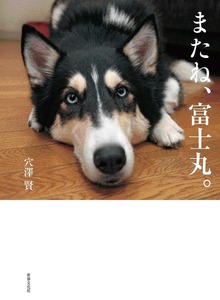 またね、富士丸。