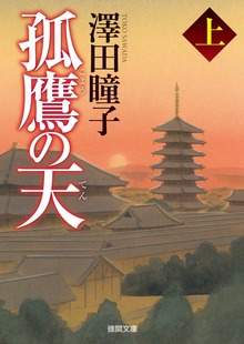 孤鷹の天〈新装版〉