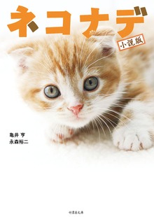 ネコナデ［小説版］