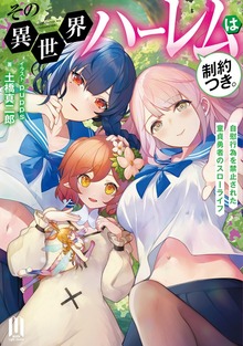 その異世界ハーレムは制約つき。（ムゲンライトノベルス）
