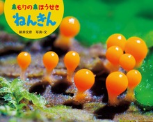 もりの ほうせき ねんきん