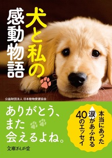 犬と私の感動物語