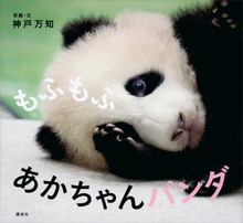 もふもふ あかちゃんパンダ