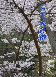 こしぬけ侍
