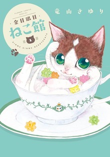 金目銀目ねこ館
