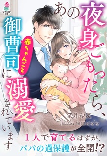 あの夜身ごもったら、赤ちゃんごと御曹司に溺愛されています