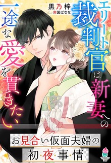 お見合い仮面夫婦の初夜事情～エリート裁判官は新妻への一途な愛を貫きたい～