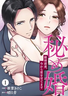 秘め婚 離婚前夜、今から愛を育てます（TOMO COMICS）