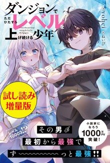 ダンジョンでただひたすらレベルを上げ続ける少年（PASH! ブックス）