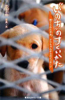 “いのち”のすくいかた 捨てられた子犬、クウちゃんからのメッセージ