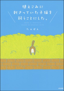植えこみに刺さっていた子猫を飼うことにした。