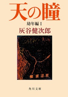 天の瞳