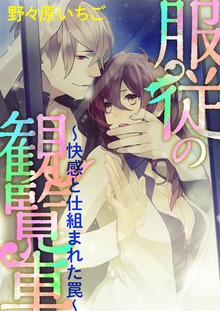 服従の観覧車 ～快感と仕組まれた罠～