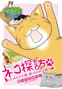 ネコ探訪～こっちのミケ猫、あっちのドラ猫～