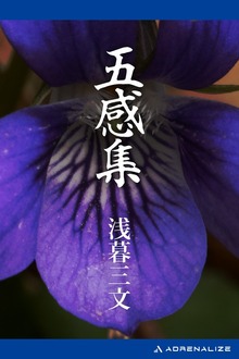 五感集