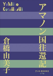 P+D BOOKS アマノン国往還記