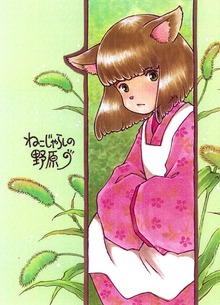 ねこじゃらしの野原