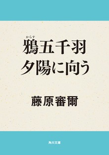 鴉五千羽夕陽に向う