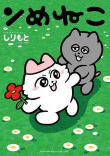 ンめねこ