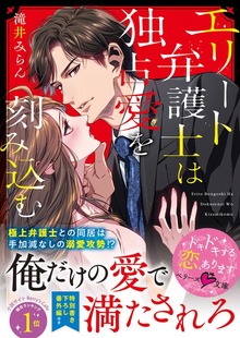 エリート弁護士は独占愛を刻み込む