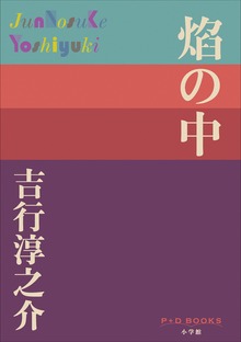 P+D BOOKS 焔の中
