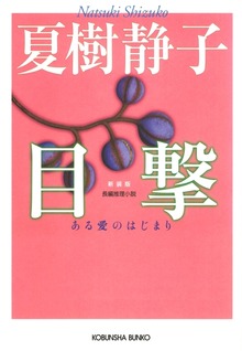 目撃～ある愛のはじまり～