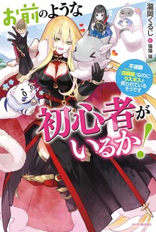 お前のような初心者がいるか！（カドカワBOOKS）