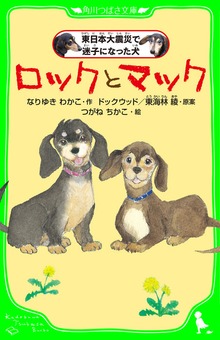 ロックとマック 東日本大震災で迷子になった犬
