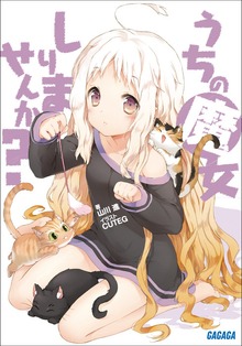 うちの魔女しりませんか？