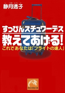 すっぴんスチュワーデス