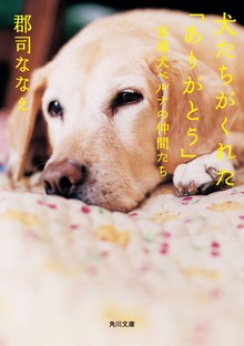 犬たちがくれた「ありがとう」 盲導犬ベルナの仲間たち