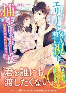 エリート警視に捕まりました～秘密の恋は危険な香り！？～